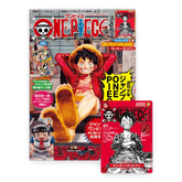 One Piece: Japanese Magazine Vol.20 with Sealed Monkey D. Luffy ST21-014 Promo Card