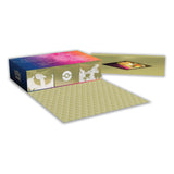 Pokemon: Sword and Shield - Ultra Premium Collection - Charizard (Sealed Case) | Romulus Games